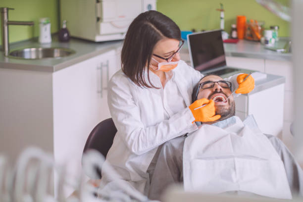 Best Chipped Tooth Repair Near Me  in Elgin, MN